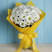 Букет цветов из:  Хризантемы в Новая Мельница