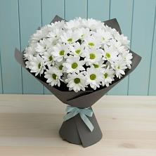 Букет цветов из:  Хризантемы в Новая Мельница