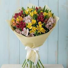 Букет цветов из:  Альстромерии в Новая Мельница