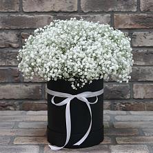 Цветочная композиция из Гипсофила в шляпной коробке в Новая Мельница