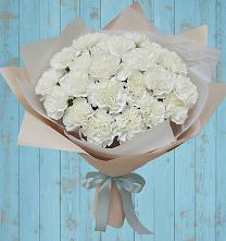 Букет цветов из:  Гвоздики в Новая Мельница